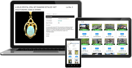 Timed online and webcast auctions on desktop, tablet and mobile